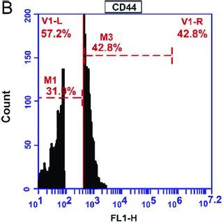 Flow Cytometry Histogram 的图像结果