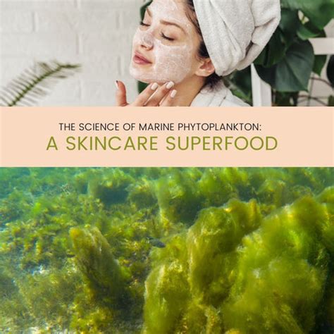 The Ocean’s Secret: Phytoplankton’s Power in Skincare | Clinikally