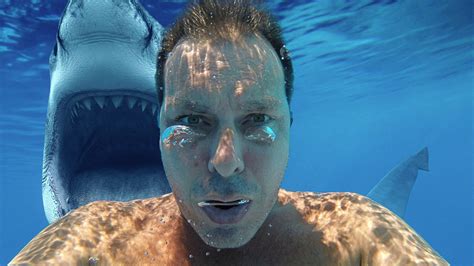 Shark Attack Central: These US States See The Most Bites
