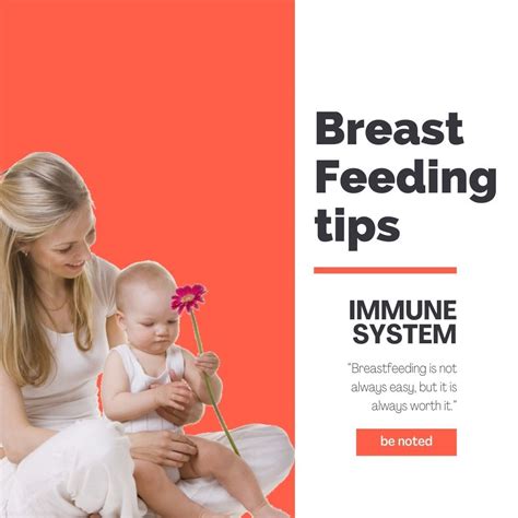 Breastfeeding tips to support you on your breastfeeding journey – Artofit