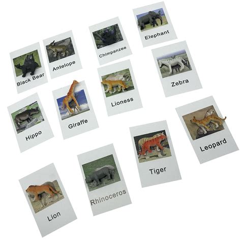 Buy BIUDUI Montessori Animal Match Cards - Marine Animal Matching Cards ...