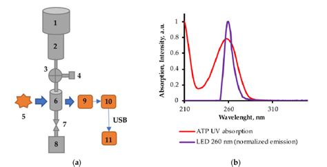 Image result for Sensor How It Work
