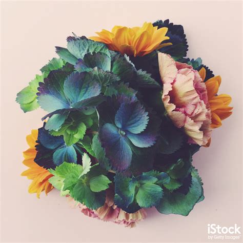 Free Use Stock 的图像结果