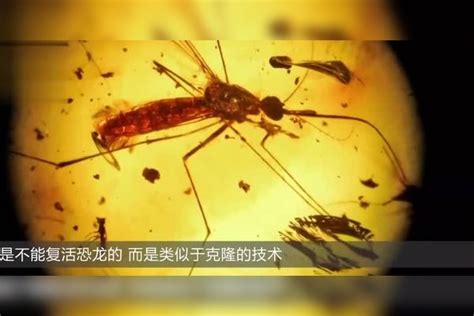 广东检出1例恐龙血 恐龙血有多罕见 _八宝网