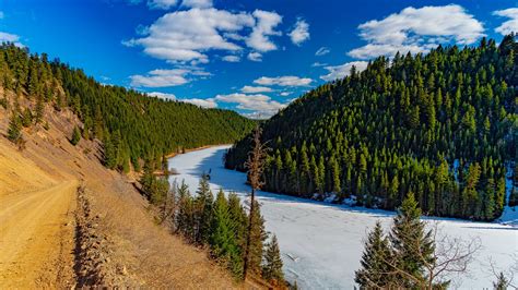 Wallpaper forest, trees, needles, snow, winter, nature hd, picture, image