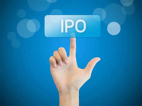 'Too young for IPO', CRED to target premium segment growth, says CEO ...