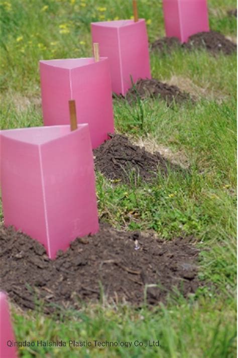 Image result for Squirrel Tree Guard