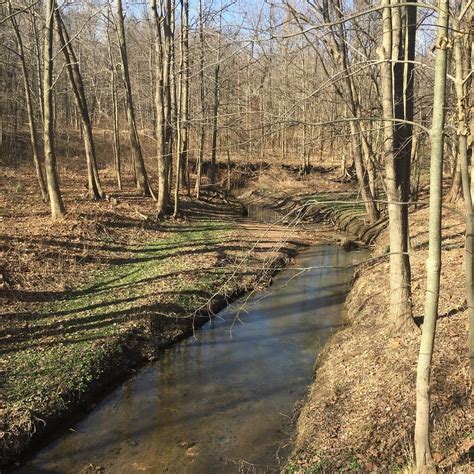 LENAPE PARK (2025) All You Need to Know BEFORE You Go (with Photos ...