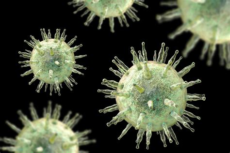 Epstein-Barr virus: how does a common infection trick the immune system into attacking the brain ...