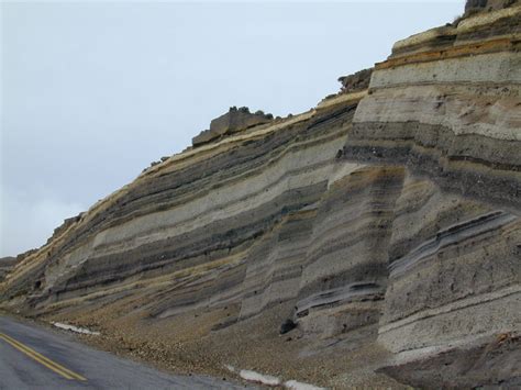 Image result for Uniformitarianism Fossil Examples