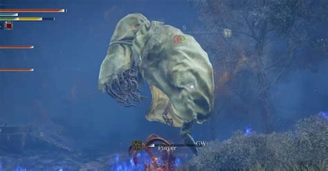 Wormface Script 的图像结果