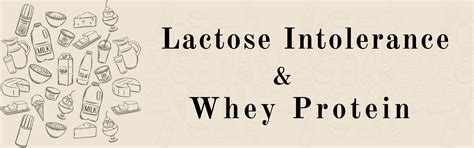 Whey Protein and Lactose Intolerance | Is whey protein a good option ...