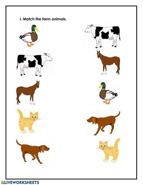 Animals Worksheet 的图像结果