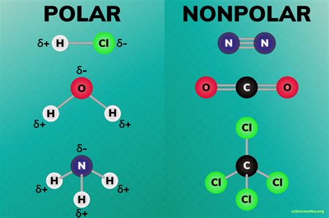 Image result for Example of Nonpolar Molecule