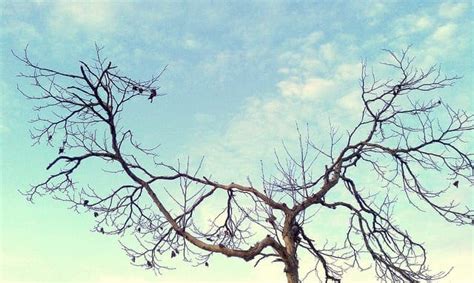 Image result for Python Gradient Boost Machine Learning