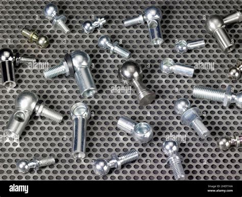 Ball And Joint Socket Joints In The Human Body