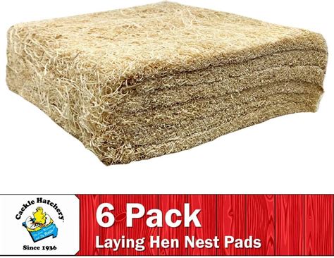 Buy Cackle Hatchery Laying Hen Nest Box Pads - 13 x 13 (6 Pack) Online ...