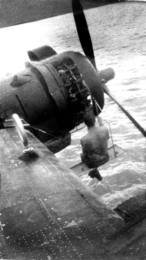 Image result for USMC PBY