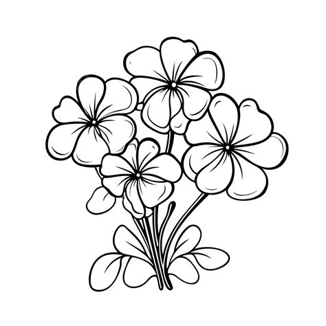 Draw A Flower Cartoon