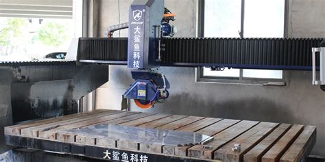 Bridge Saw Buyer's Guide: Monoblock vs. Gantry Stone Saws | DINOSAW