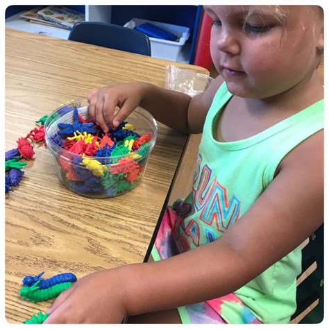 Sorting Activity 的图像结果