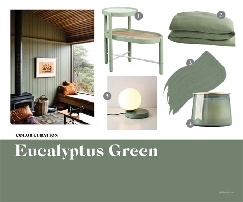 What Colours Go With Eucalyptus Green at Courtney Szeto blog