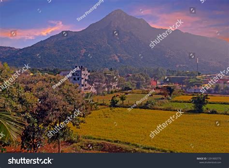 Mountain Arunachala Oldest Mountain On Earth Stock Photo 1291905775 ...