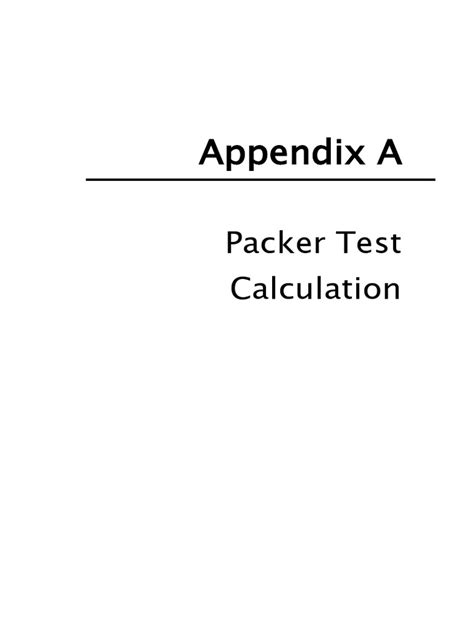 Packer Test 的图像结果