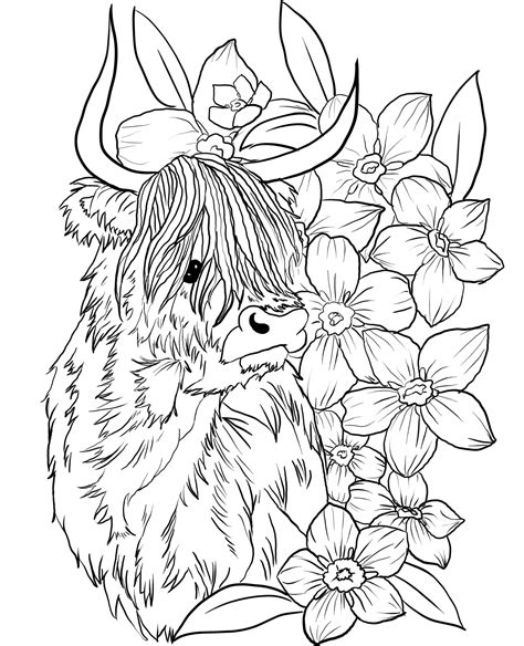 Printable Highland Cow Colouring Page