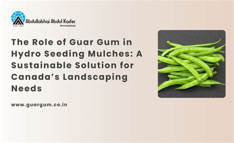 Guar Gum Powder in Hydroseeding Mulches for Canada