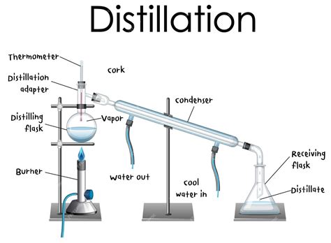 Distillation 的图像结果