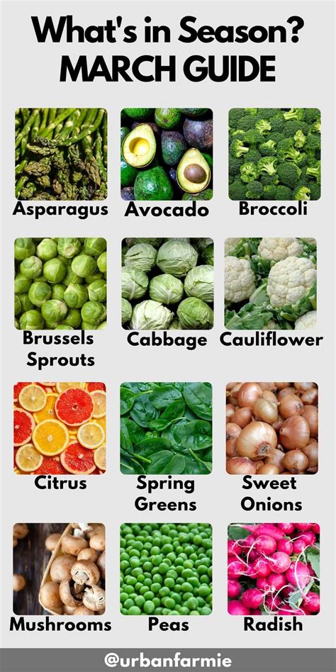 What's in Season? March Produce Guide