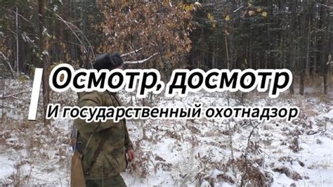 Осмотр, досмотр и государственный охотнадзор | as-hunter | Дзен