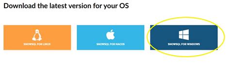 Image result for Snowsql Batch File Example