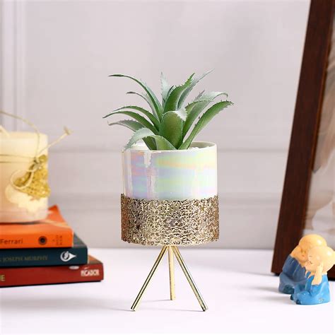 Buy Fourwalls Artificial Succulent Plant with a Metal Stand (20.5 cm ...