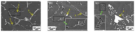 Phase Formation and Microstructure Evolution of Al-5Si-0.8Mg Alloys ...