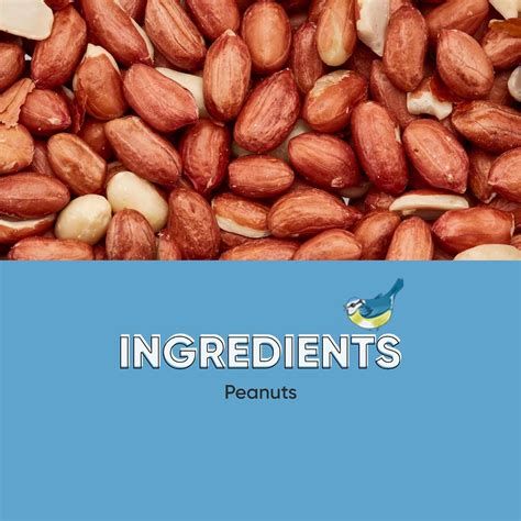 Peanuts Aflatoxin Tested Wild Bird Feed
