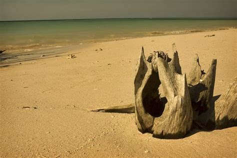 Image result for Python Machine Learning From Scratch