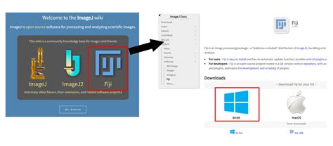 Fiji ImageJ Download 的图像结果