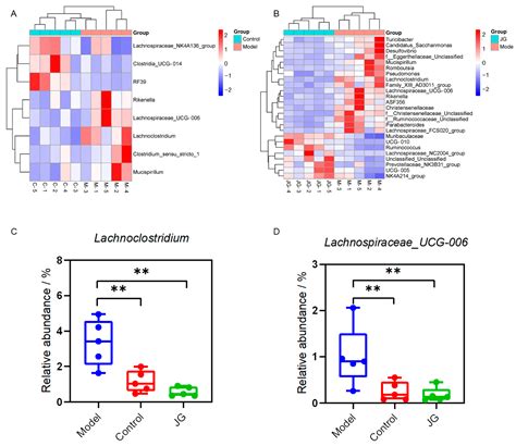 The Potential Antinociceptive Effect and Mechanism of Cannabis sativa L ...