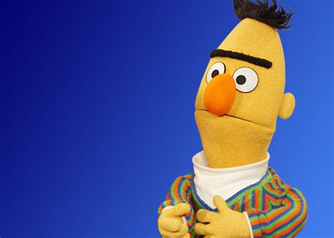 Image result for bert