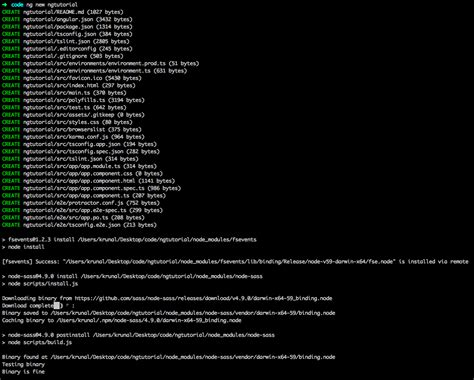 Image result for How to Run Angular Project
