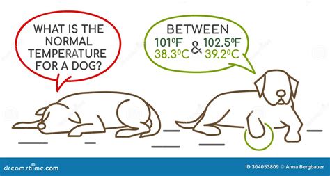 Normal Temperature For A Dog Uk at Tayla Wilkin blog
