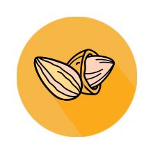 Bagrry’s Superfood Granola Belgian Dark Chocolate & Almonds 400gm Pouch ...