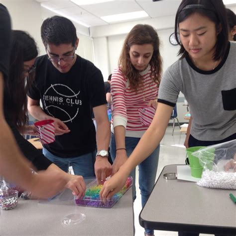 Gallery – The Human Biology Major