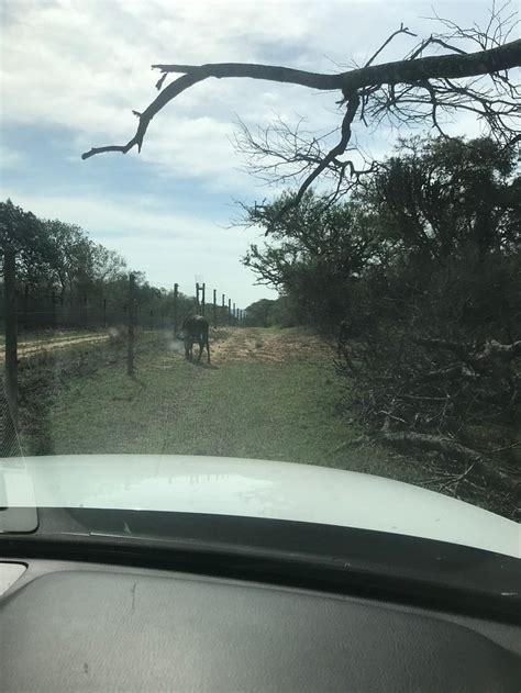 KHANGELA PRIVATE GAME LODGE (Hluhluwe) - Lodge Reviews, Photos, Rate ...