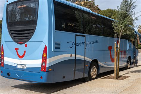 Image result for Tui Local Bus