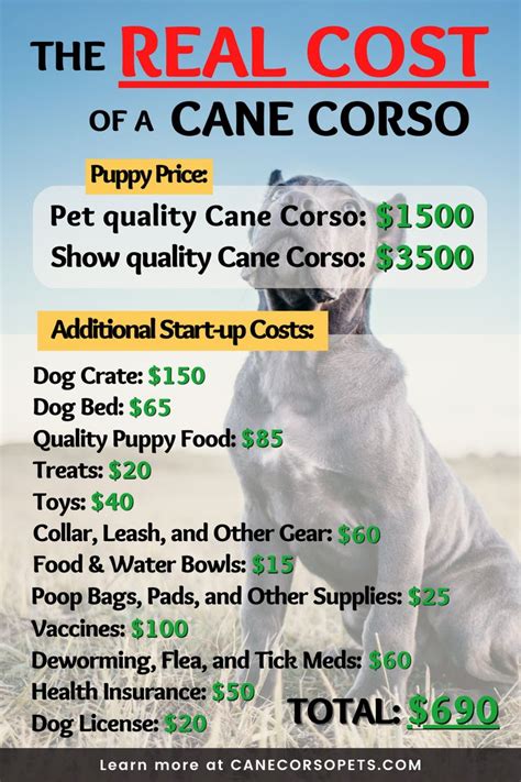 Cane Corso Cost 的图像结果