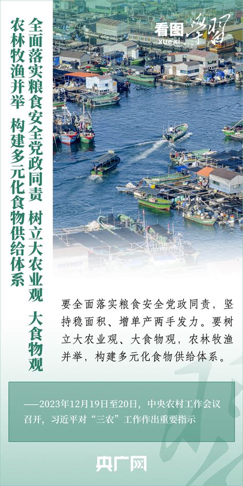 农业现代化 的图像结果