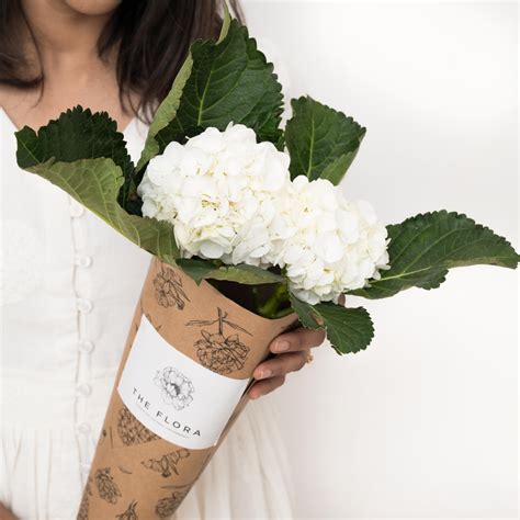 Subscribe to Cut Flowers - PREMIUM – The Flora